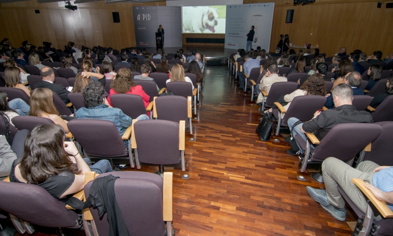 Perspectiva del Auditorio