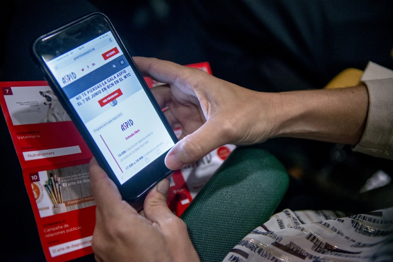 Votación mediante la web
