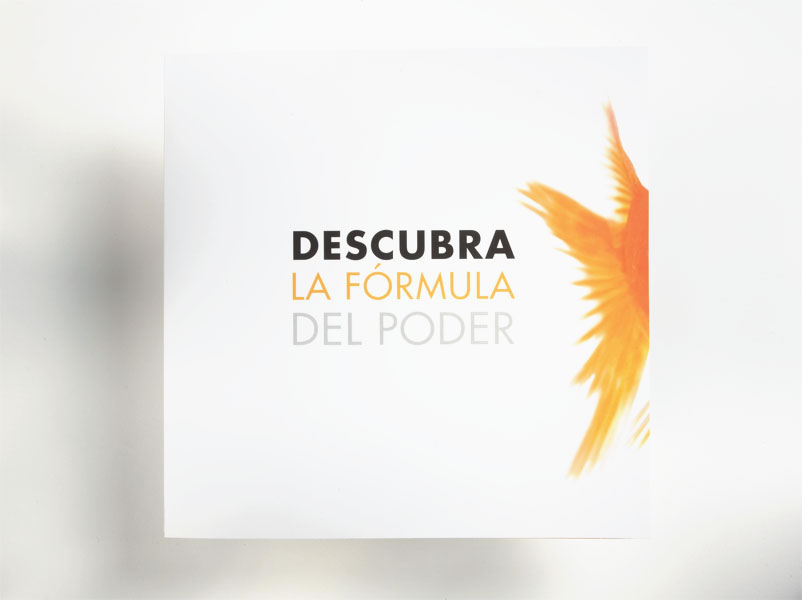 Descubra el secreto del líder - 3