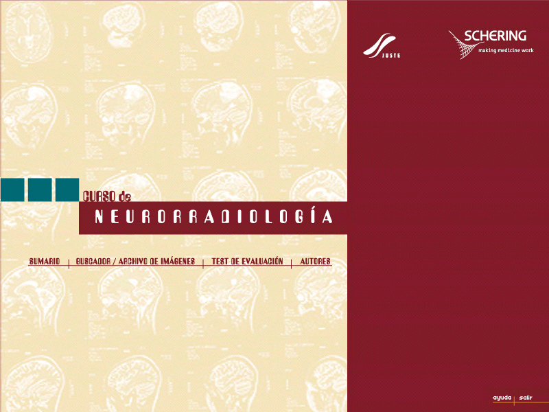 Curso de Neurorradiología - 2