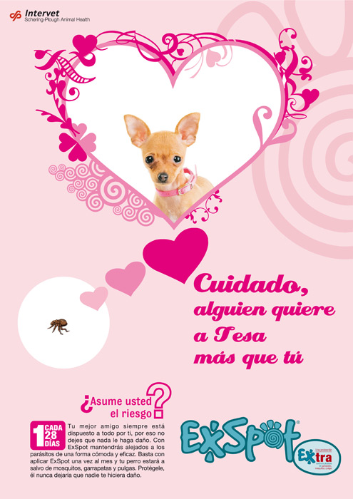 Alguien quiere a Bobby más que tú - 6