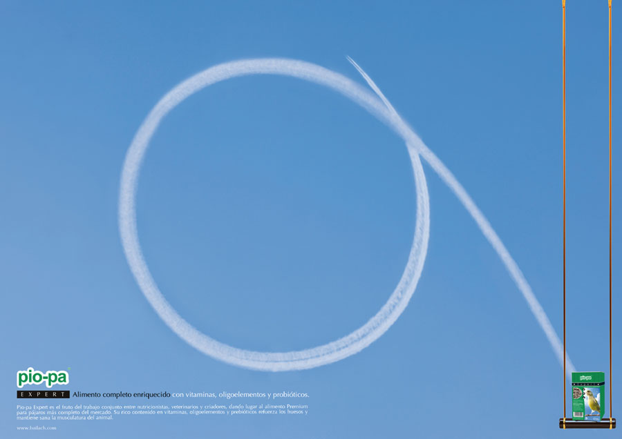 No es un avión, es un pájaro - 2