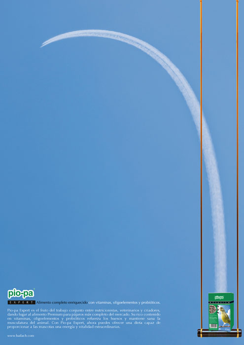 No es un avión, es un pájaro - 3