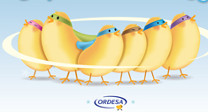 Super Soluciones Ordesa