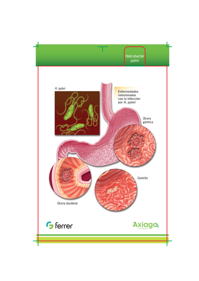 Display Box Afecciones Gastrointestinales - 1