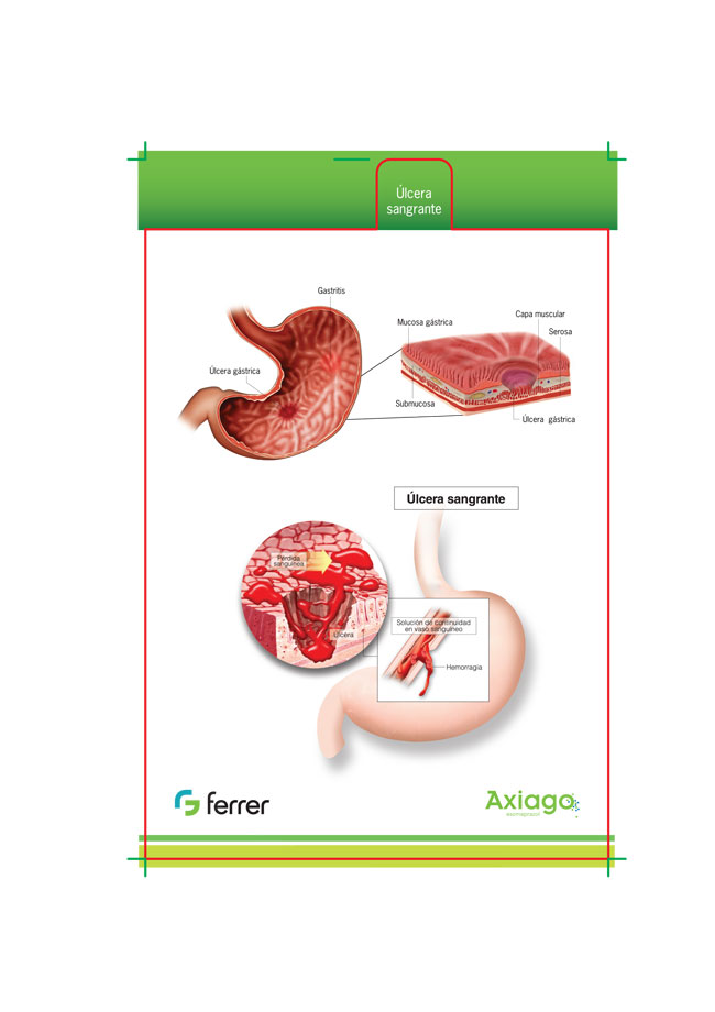 Display Box Afecciones Gastrointestinales - 2