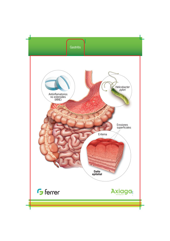 Display Box Afecciones Gastrointestinales - 3