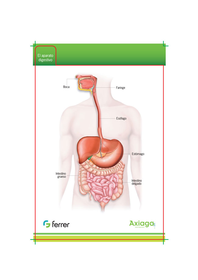 Display Box Afecciones Gastrointestinales - 6