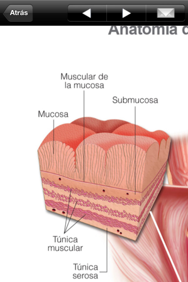 Aplicación iPhone y iPad Miniatlas Anatomía - 1