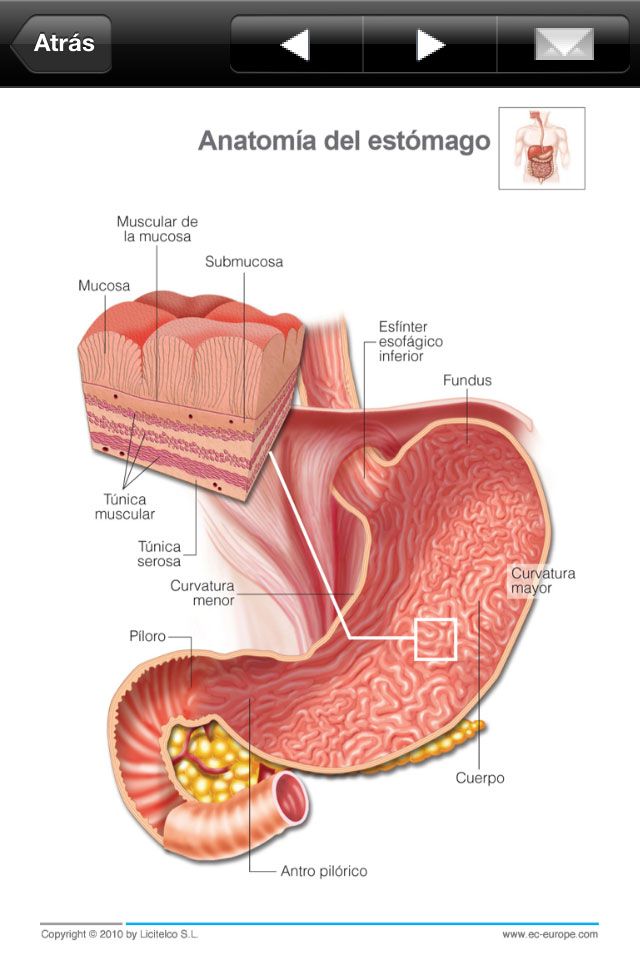 Aplicación iPhone y iPad Miniatlas Anatomía - 2