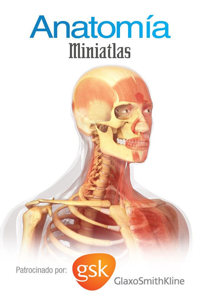 Aplicación iPhone y iPad Miniatlas Anatomía - 3