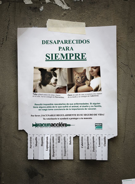 Desaparecidos para siempre - 2