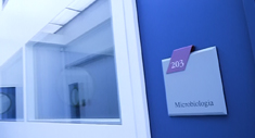 Video Corporativo Dentaid