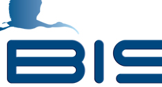 Ibis