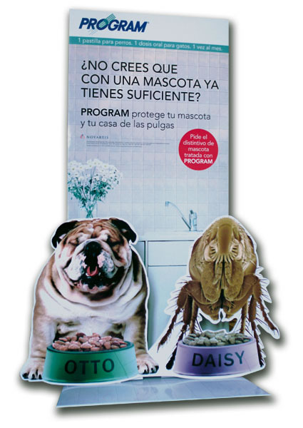 Mascotas - 1