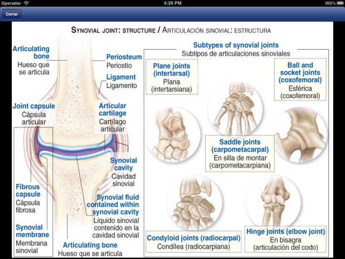 Diccionario Traumatología - 2