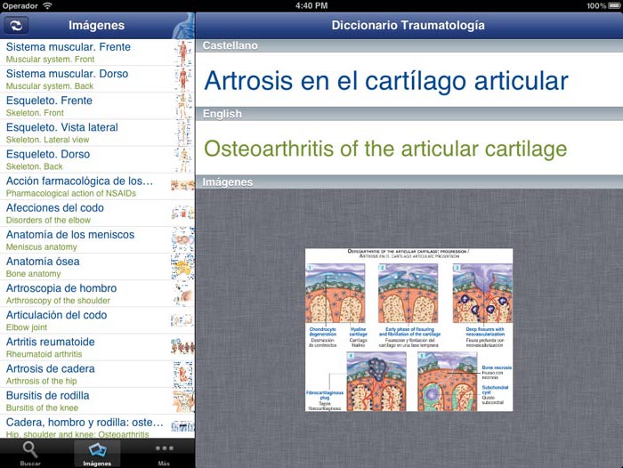 Diccionario Traumatología - 5