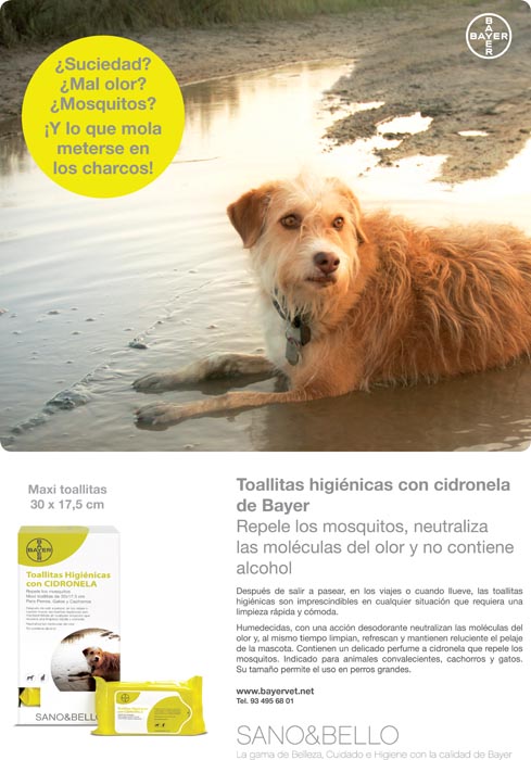 Sano & Bello - 1