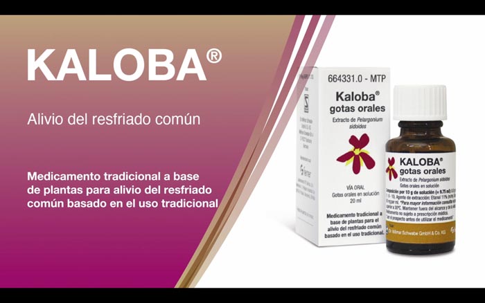 Kaloba y Prospantus animados - 3