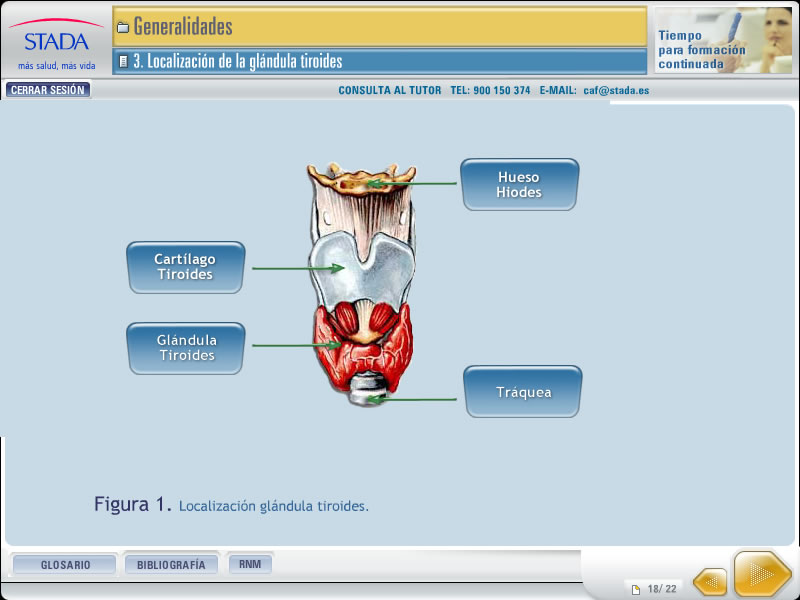IV Curso de atención farmacéutica de Stada - 2