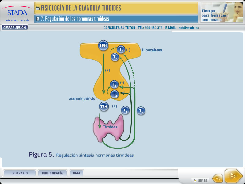 IV Curso de atención farmacéutica de Stada - 3