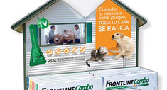 No los ves pero están ahí