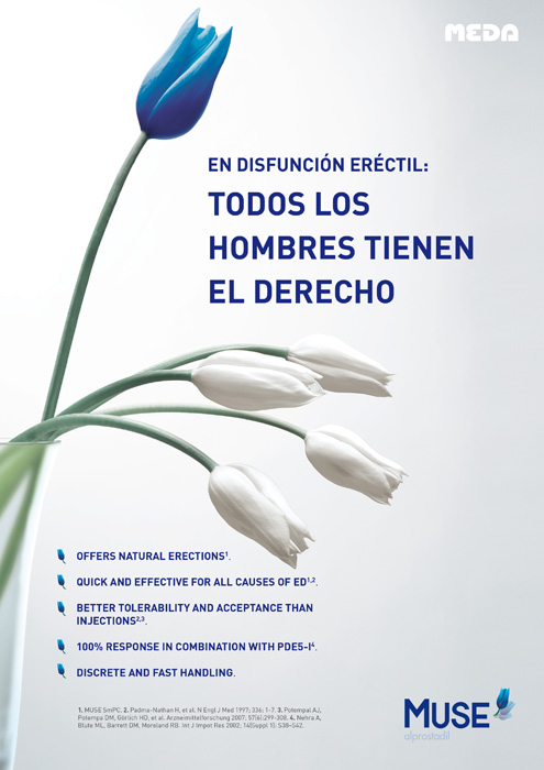 Tulipanes - 3