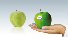 Manzanas