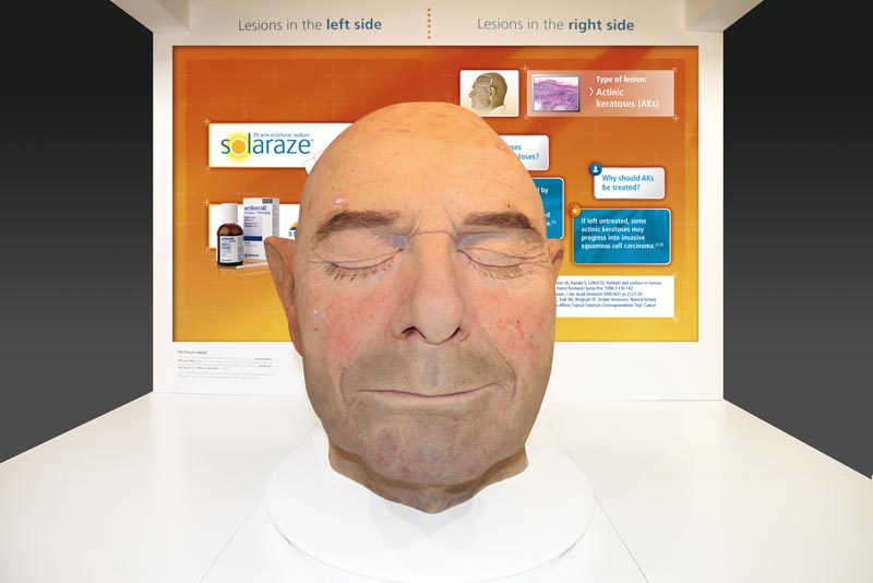 Oversized Derma Trainning Head - 8