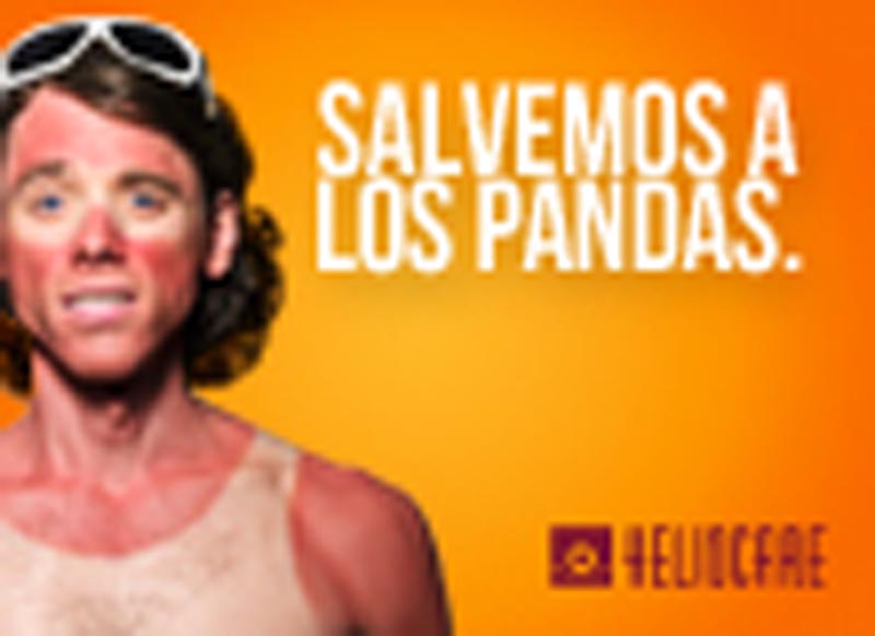 No seas animal - 1