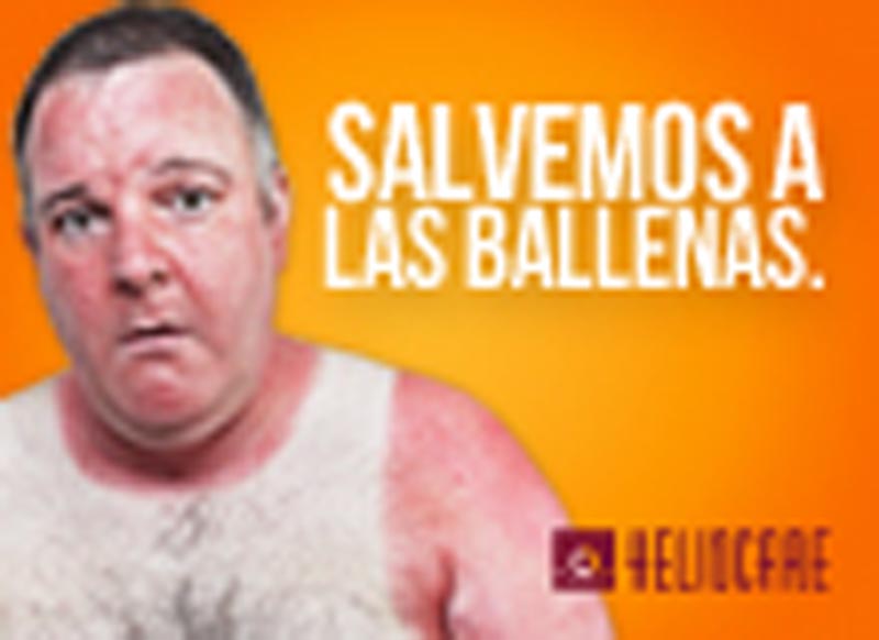 No seas animal - 3