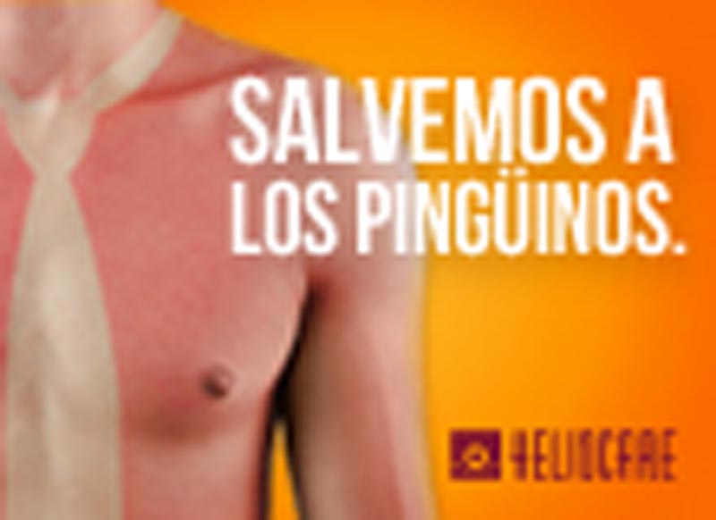 No seas animal - 5