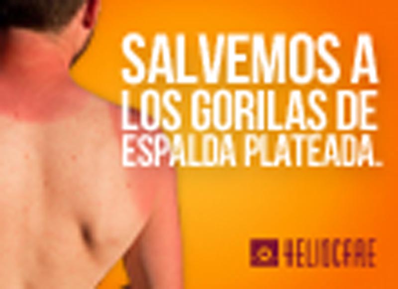 No seas animal - 6