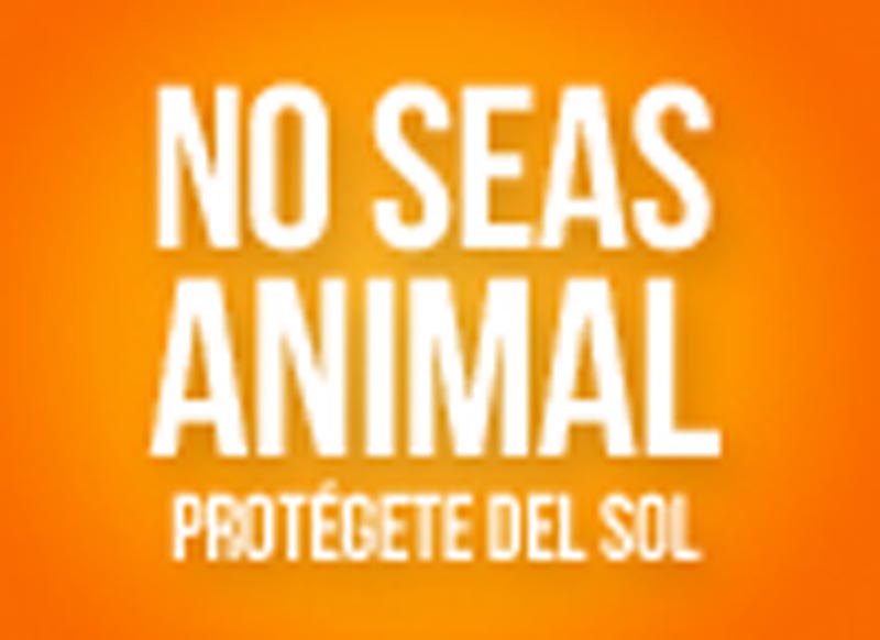 No seas animal - 8