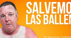 No seas animal