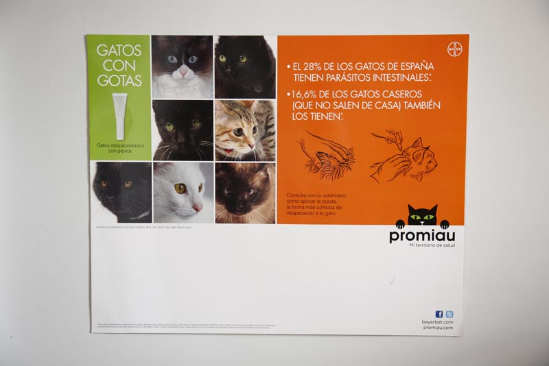 Lanzamiento Promiau - 4