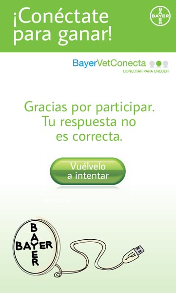 Bayer Vet Conecta - 13