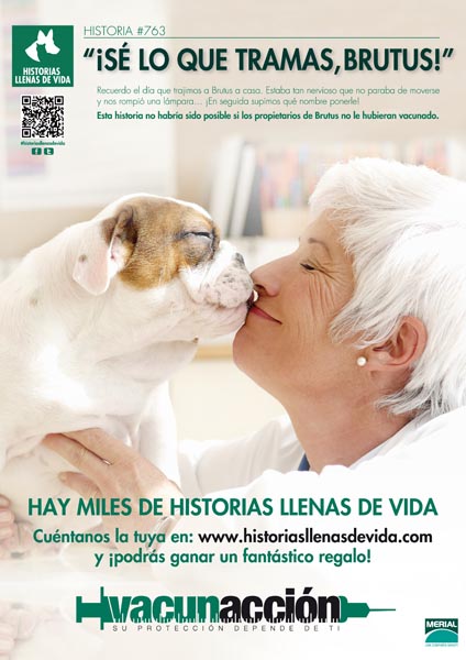 Historias Llenas de Vida - 6
