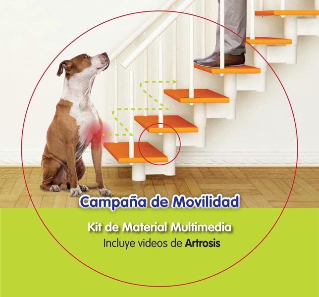 Campaña de Movilidad - 1