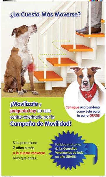 Campaña de Movilidad - 2