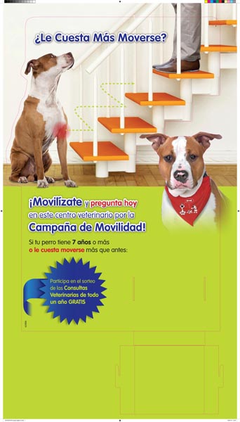 Campaña de Movilidad - 3