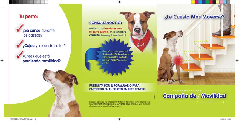 Campaña de Movilidad - 5