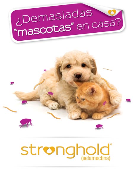¿Demasiadas mascotas en casa? - 1