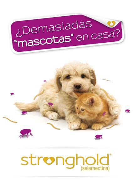 ¿Demasiadas mascotas en casa? - 4