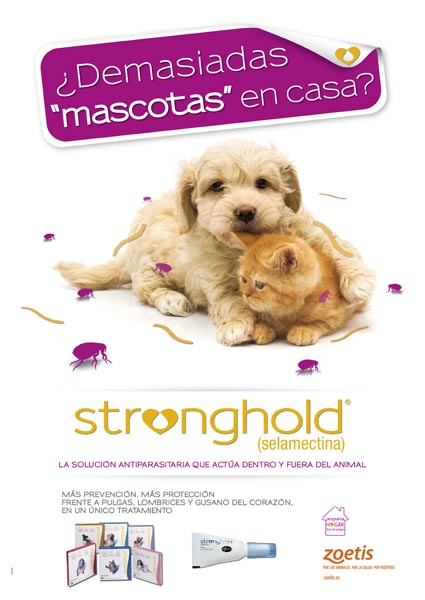 ¿Demasiadas mascotas en casa? - 5