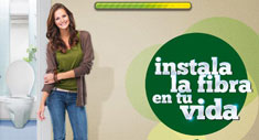 Descarga