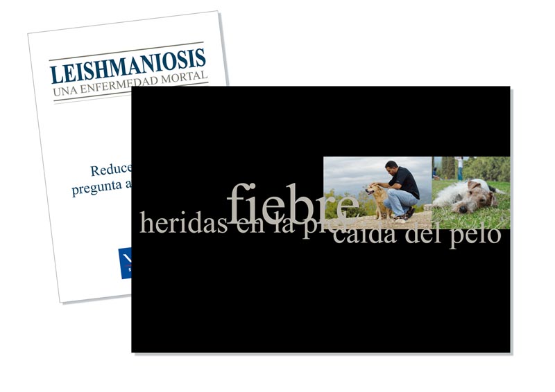 1.000.000 de gracias - 8