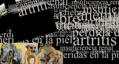 1.000.000 de gracias