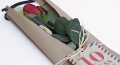 Sant Jordi