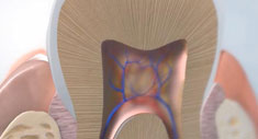 3D Nanotechnology